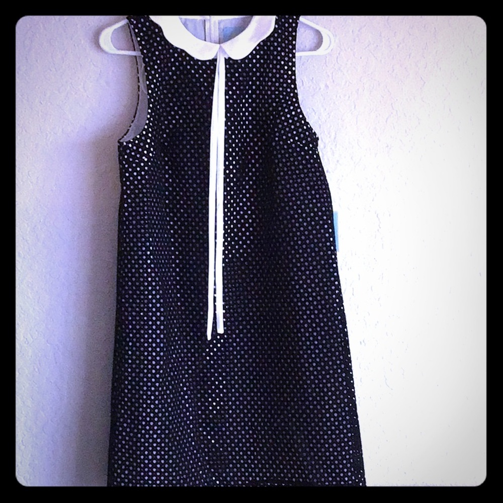 CeCe school girl style dress NWT